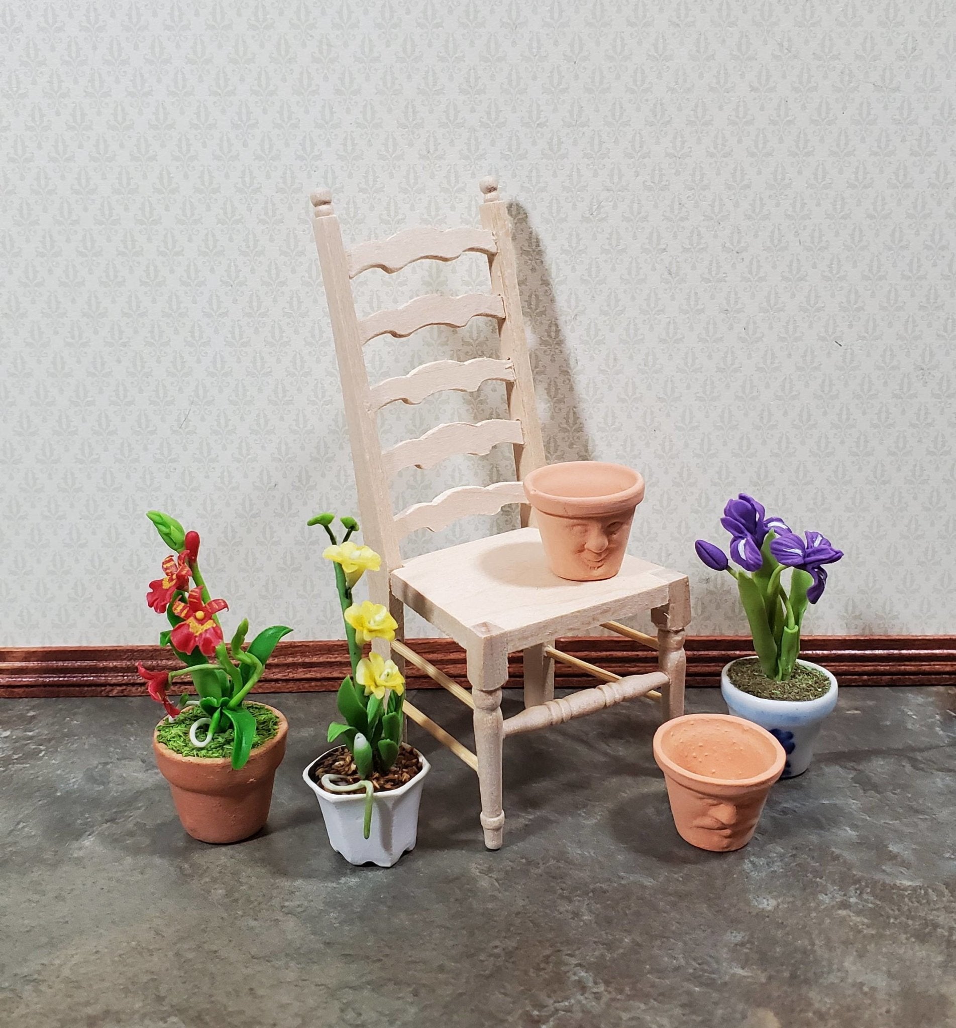 Plants Garden & Outdoors  MiniatureCrush