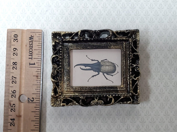 Miniature Hercules Beetle Framed Print 1:12 Scale Miniature Picture