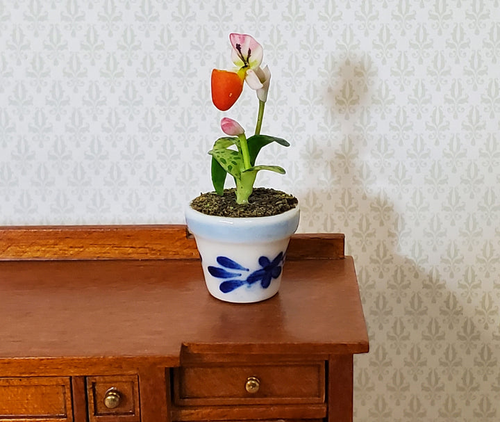 Dollhouse Potted Orchid Pink & White Flowering Plant in Ceramic Pot 1:12 Scale
