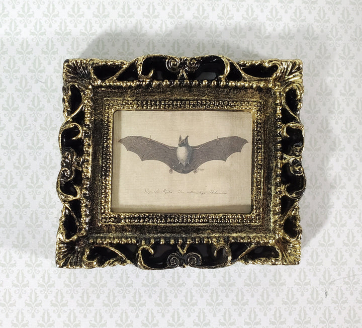 Miniature Vintage Bat Drawing Framed Print 1:12 Scale Halloween Haunted House