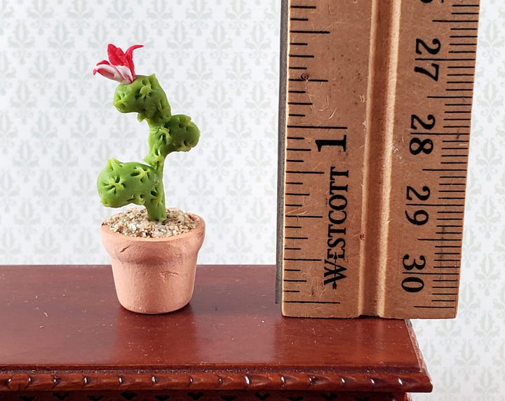 Dollhouse Cactus Tall Flowering Plant in a Terra Cotta Planter 1:12 Scale Miniature