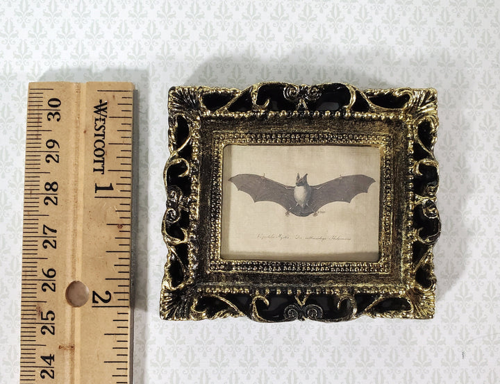 Miniature Vintage Bat Drawing Framed Print 1:12 Scale Halloween Haunted House