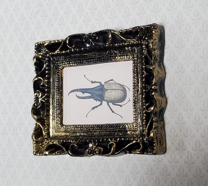 Miniature Hercules Beetle Framed Print 1:12 Scale Miniature Picture