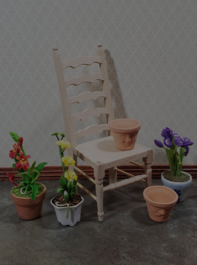 Plants, Garden and Outdoors Preview Image