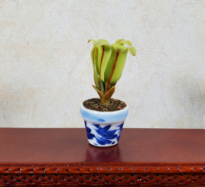 Dollhouse Broadleaf Fern in Blue & White Ceramic Pot 1:12 Scale - MiniatureCrush