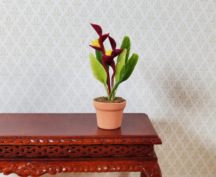 Dollhouse Burgundy and Yellow Heliconia Plant in Terra Cotta Pot 1:12 Scale - MiniatureCrush