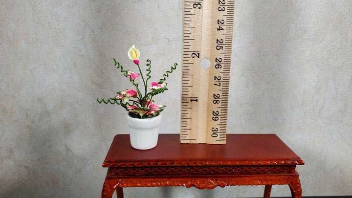 Dollhouse Caladium with Bud Variegated Leaves in White Pot 1:12 Scale Miniature - MiniatureCrush