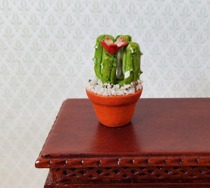 Dollhouse Flowering Cactus Plant in a Terra Cotta Planter 1:12 Scale Miniature - MiniatureCrush