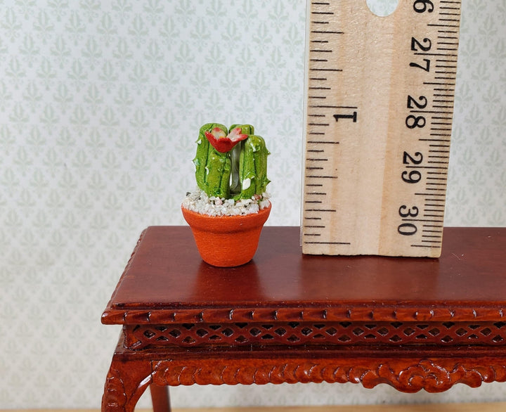 Dollhouse Flowering Cactus Plant in a Terra Cotta Planter 1:12 Scale Miniature - MiniatureCrush