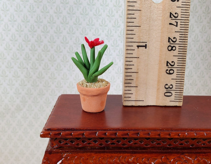 Dollhouse Flowering Spiky Cactus Plant in a Terra Cotta Pot 1:12 Scale Miniature - MiniatureCrush