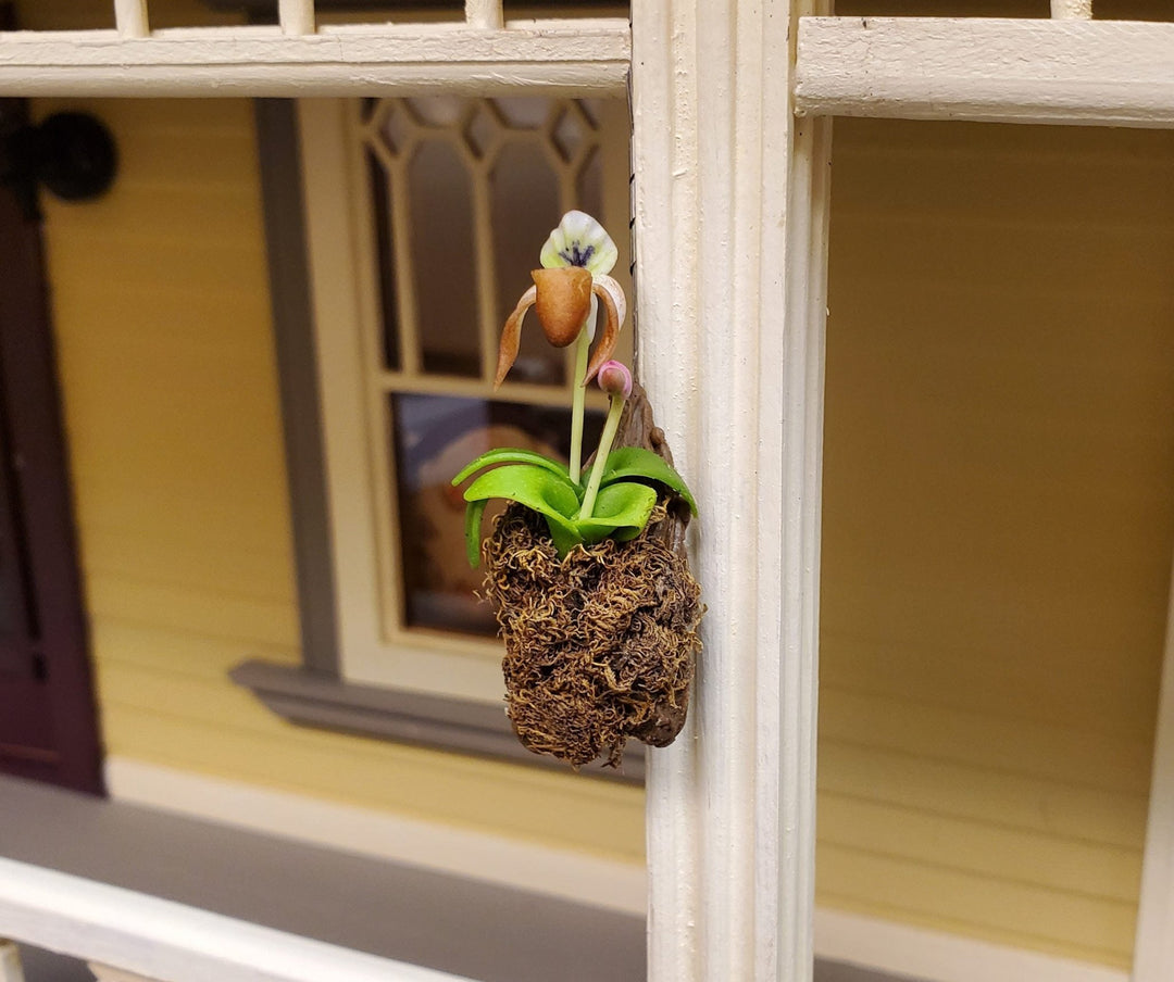 Dollhouse Hanging Cup Orchid on Bark with Moss Flowering Plant 1:12 Scale - MiniatureCrush