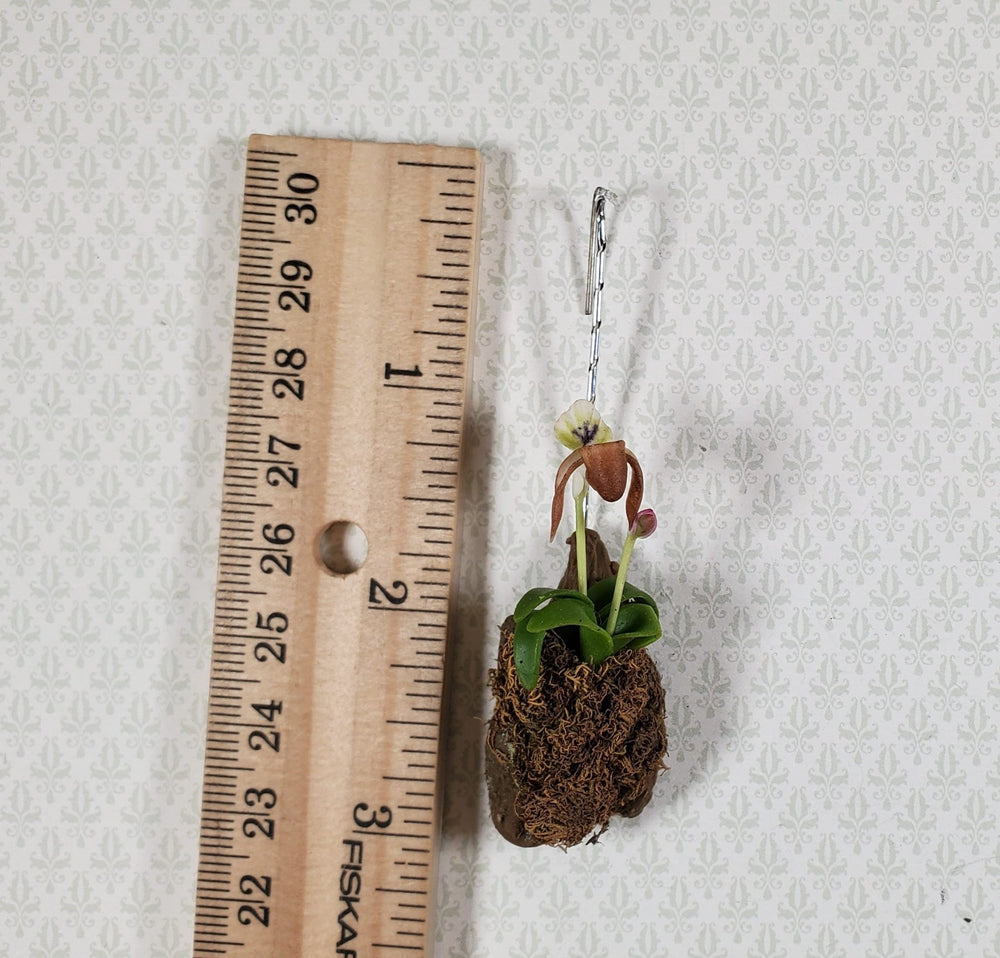 Dollhouse Hanging Cup Orchid on Bark with Moss Flowering Plant 1:12 Scale - MiniatureCrush