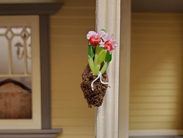 Dollhouse Hanging Orchid on Bark with Moss Pink Flowering Plant 1:12 Scale - MiniatureCrush