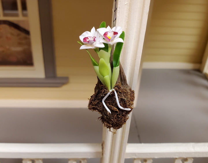 Dollhouse Hanging Orchid on Bark with Moss White & Purple Flowering Plant 1:12 Scale - MiniatureCrush