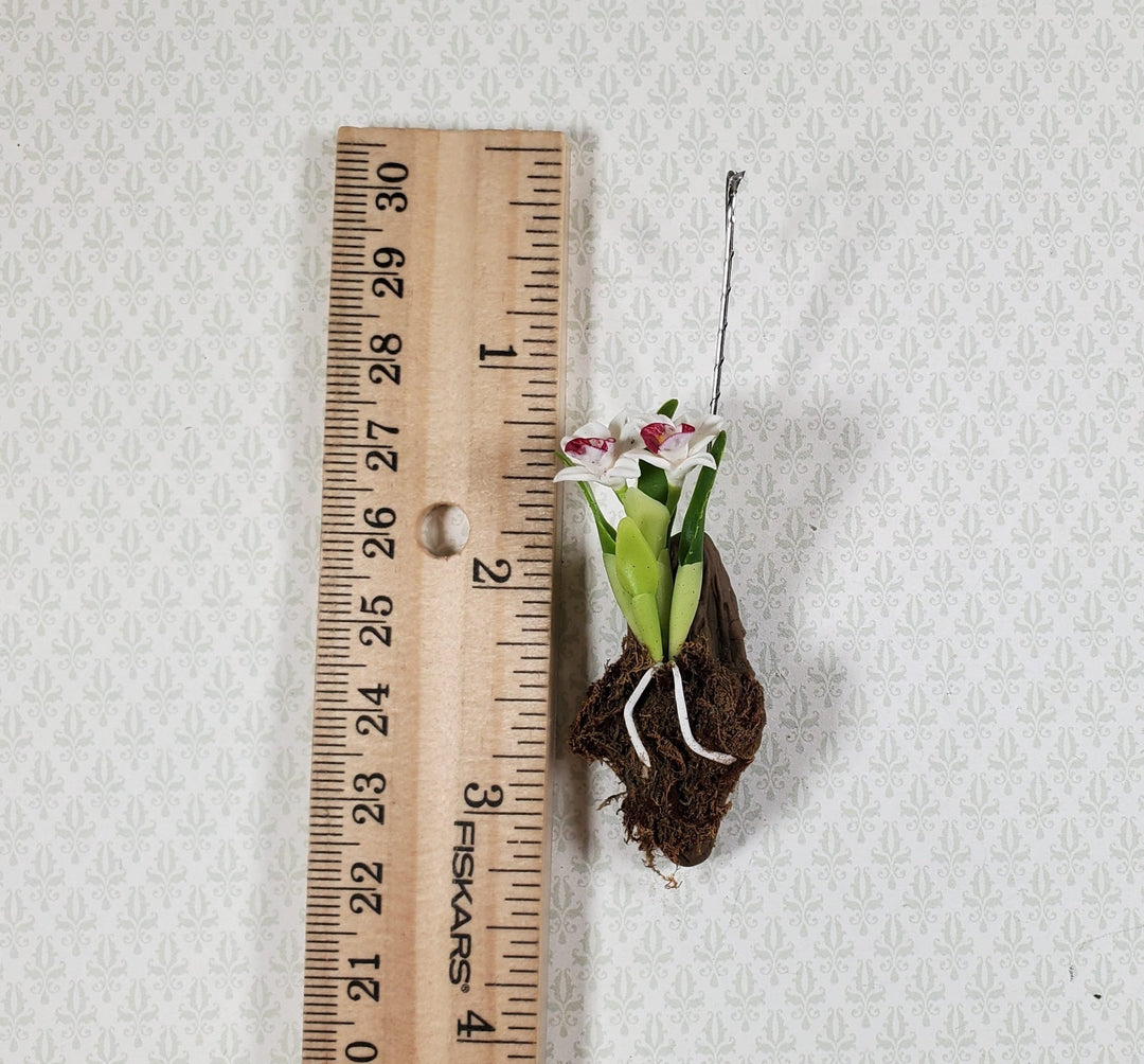 Dollhouse Hanging Orchid on Bark with Moss White & Purple Flowering Plant 1:12 Scale - MiniatureCrush