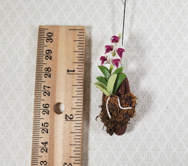Dollhouse Hanging Orchid White Dark Purple Bark & Moss 1:12 Scale Plant - MiniatureCrush