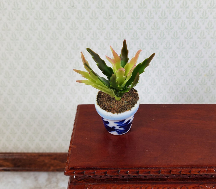 Dollhouse Houseplant Christmas Cactus in Blue & White Pot 1:12 Scale Miniature - Miniature Crush