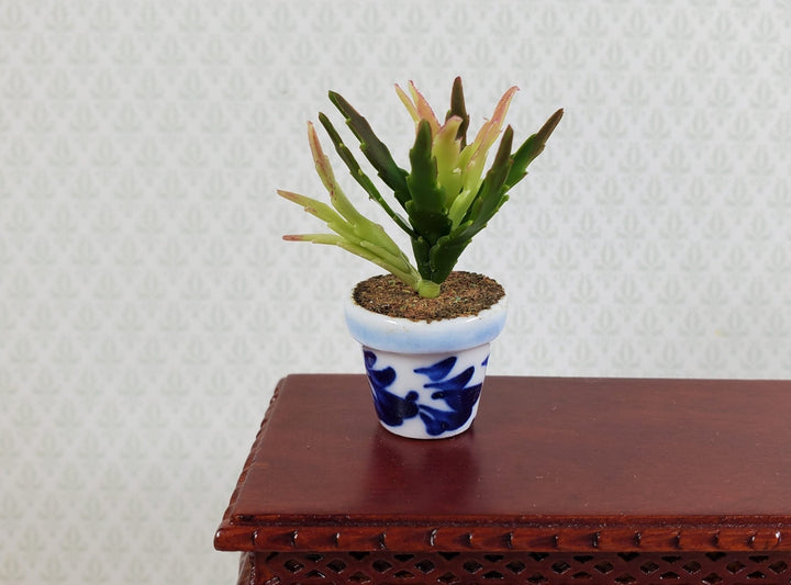 Dollhouse Houseplant Christmas Cactus in Blue & White Pot 1:12 Scale Miniature - Miniature Crush