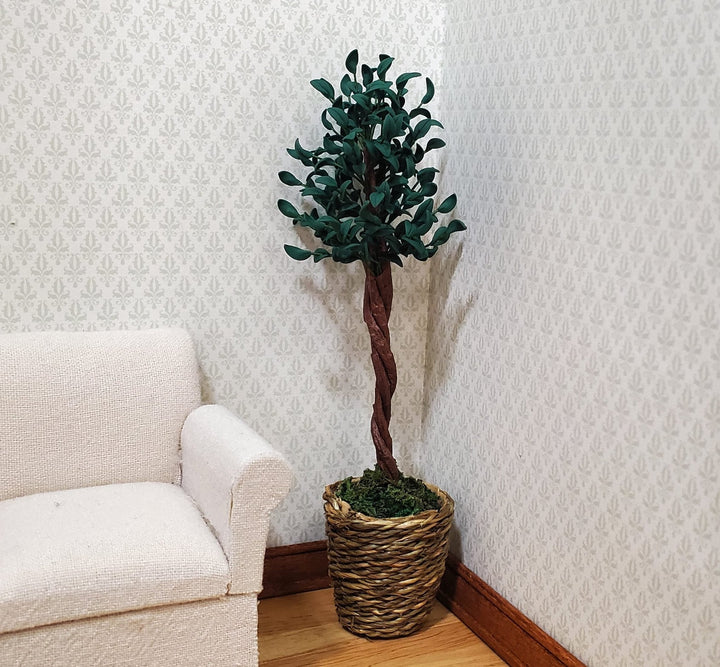 Dollhouse Large Ficus Tree Houseplant in Woven Basket 1:12 Scale Miniature - MiniatureCrush