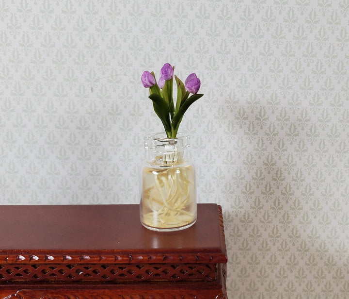 Dollhouse Lavender Tulip Bulbs with Roots in a Glass Jar1:12 Scale Miniature - MiniatureCrush