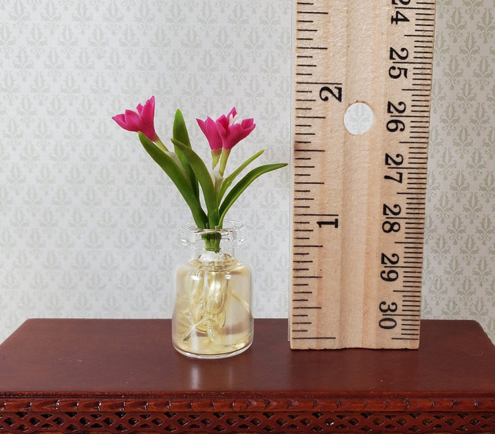 Dollhouse Magenta Tulip Bulbs in a Clear Glass Jar 1:12 Scale Miniature - MiniatureCrush