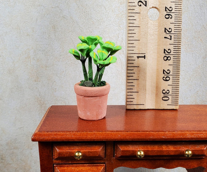 Dollhouse Miniature Lucky Four Leaf Clovers in Terra Cotta 1:12 Scale Miniature - MiniatureCrush