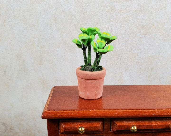 Dollhouse Miniature Lucky Four Leaf Clovers in Terra Cotta 1:12 Scale Miniature - MiniatureCrush