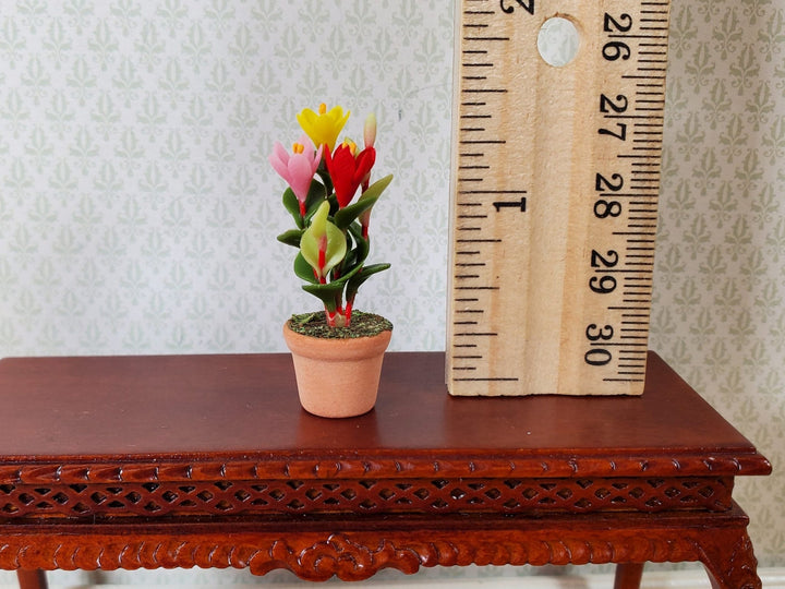 Dollhouse Multi Color Crocus Plant in a Terra Cotta Pot 1:12 Scale Miniature - MiniatureCrush