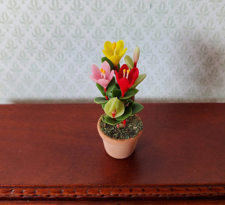 Dollhouse Multi Color Crocus Plant in a Terra Cotta Pot 1:12 Scale Miniature - MiniatureCrush