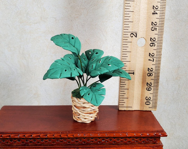 Dollhouse Palm Plant in Woven Basket Planter 1:12 Scale Miniature - MiniatureCrush