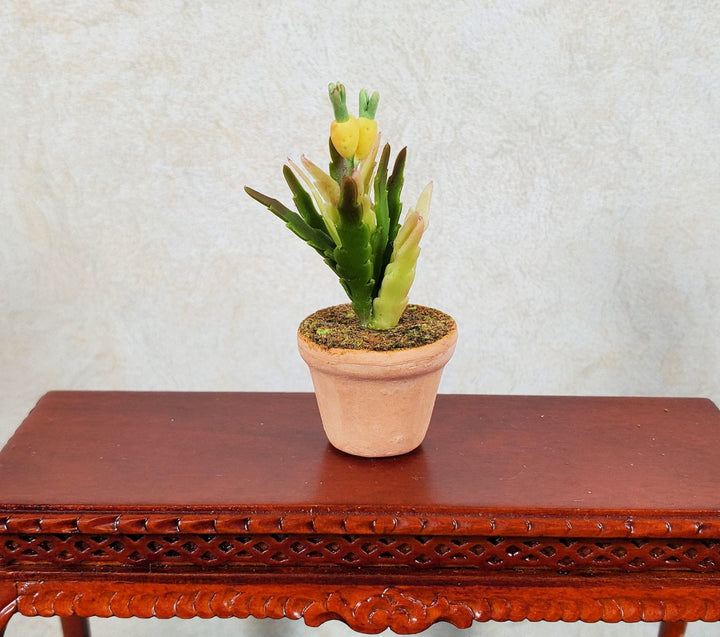 Dollhouse Pineapple Plant in Terra Cotta Pot 1:12 Scale Miniature Flowers - MiniatureCrush