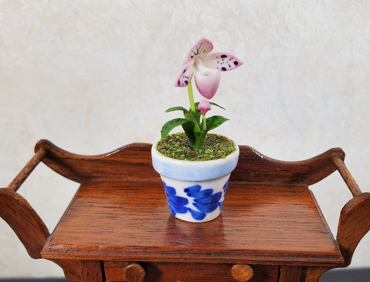 Dollhouse Pink Lady Slipper in a Blue & White Ceramic Pot 1:12 Scale Miniature - MiniatureCrush