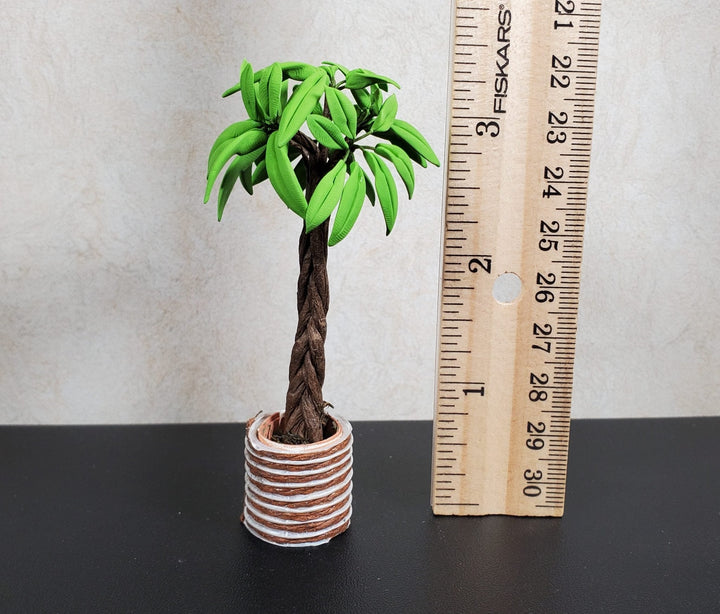 Dollhouse Potted Palm with Braided Trunk in Brown Clay Pot 1:12 Scale Miniature - MiniatureCrush