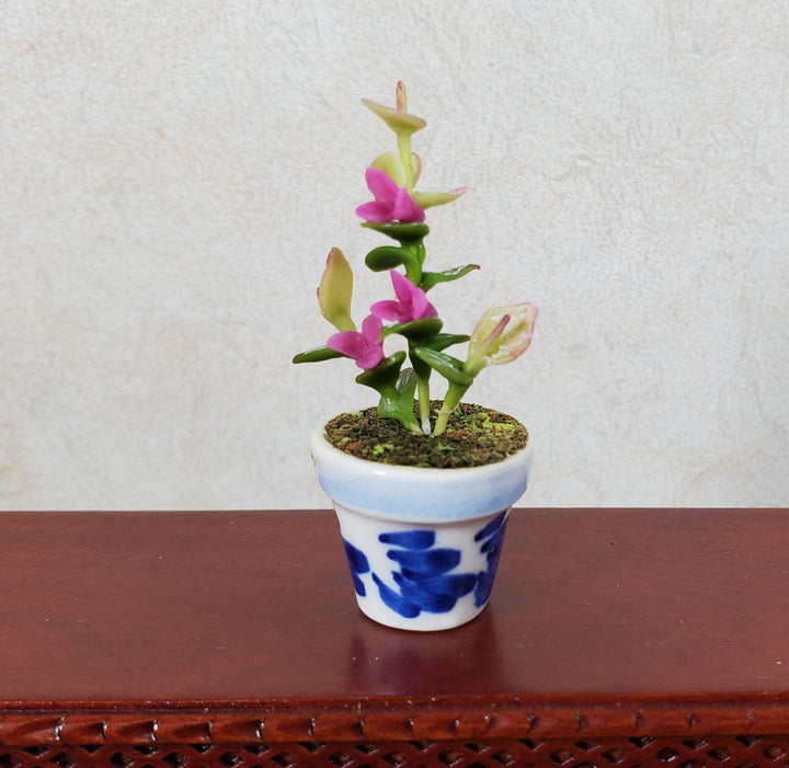 Dollhouse Potted Plant with Pink Flowers in Blue & White Pot 1:12 Scale Miniature - MiniatureCrush