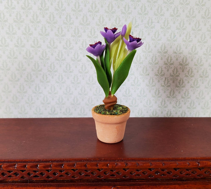 Dollhouse Purple Crocus Plant in a Terra Cotta Pot 1:12 Scale Miniature Plant - MiniatureCrush