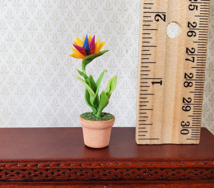 Dollhouse Red & Yellow Bird of Paradise in Terra Cotta Pot 1:12 Scale Miniature - MiniatureCrush