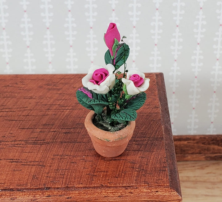 Dollhouse Roses White and Pink Flowers Potted in Terra Cotta Planter 1:12 Scale - MiniatureCrush