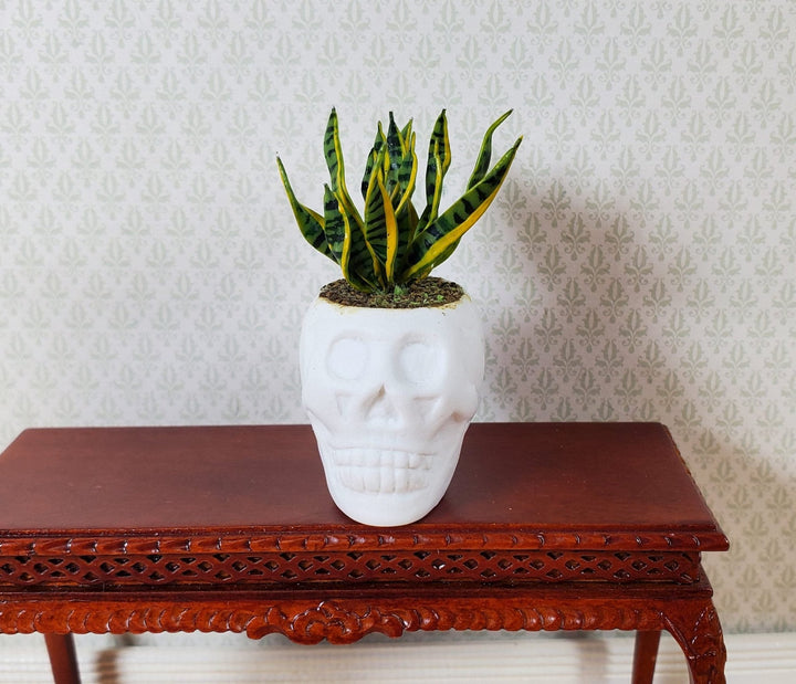 Dollhouse Snake Plant in a Large White Skull Planter Pot 1:12 Scale Halloween - MiniatureCrush