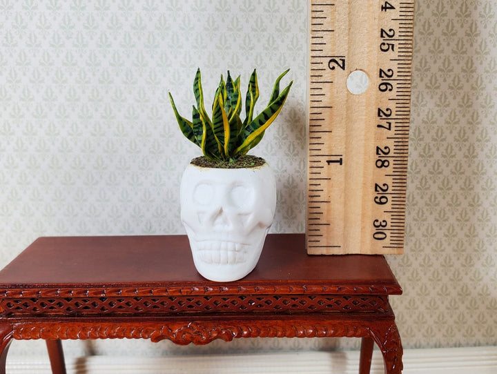 Dollhouse Snake Plant in a Large White Skull Planter Pot 1:12 Scale Halloween - MiniatureCrush