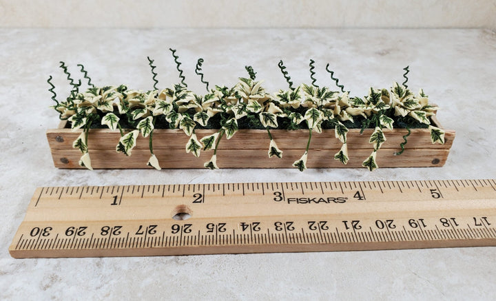 Dollhouse Variegated Ivy in 5.5" Wooden Window Box Planter 1:12 Scale Miniature - MiniatureCrush