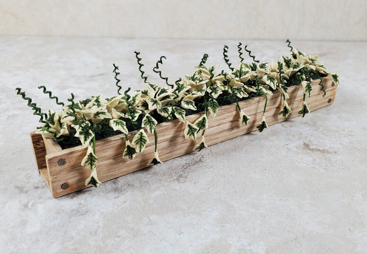 Dollhouse Variegated Ivy in 5.5" Wooden Window Box Planter 1:12 Scale Miniature - MiniatureCrush