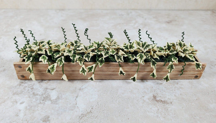 Dollhouse Variegated Ivy in 5.5" Wooden Window Box Planter 1:12 Scale Miniature - MiniatureCrush