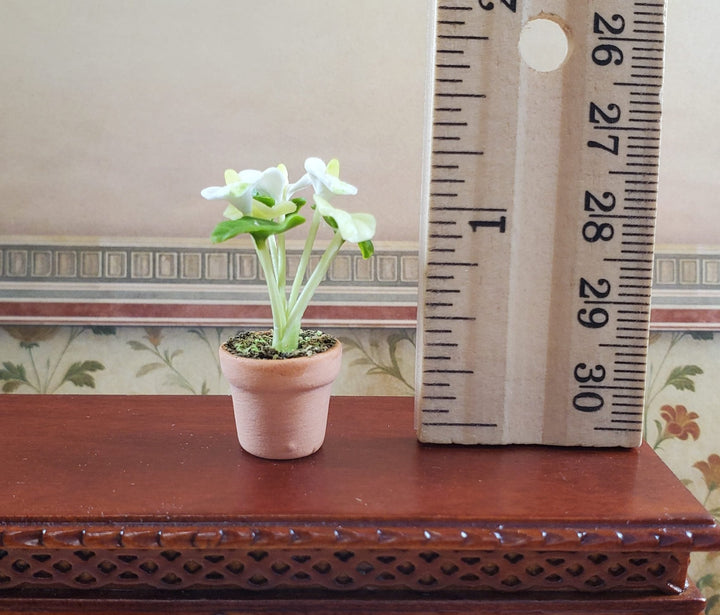 Dollhouse White Anthurium Flowering Plant Terra Cotta Pot 1:12 Scale Miniature - MiniatureCrush