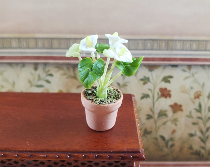 Dollhouse White Anthurium Flowering Plant Terra Cotta Pot 1:12 Scale Miniature - MiniatureCrush