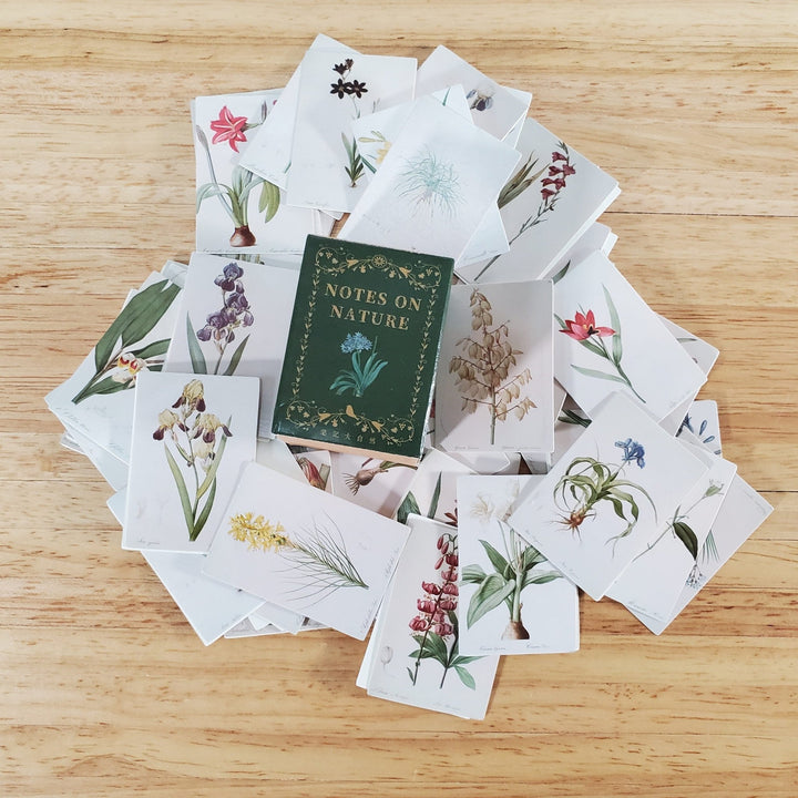 100 Mini Nature Botanical Prints on Cardstock Flowers Floral Vintage Pictures Scrapbooking Stamping - Miniature Crush