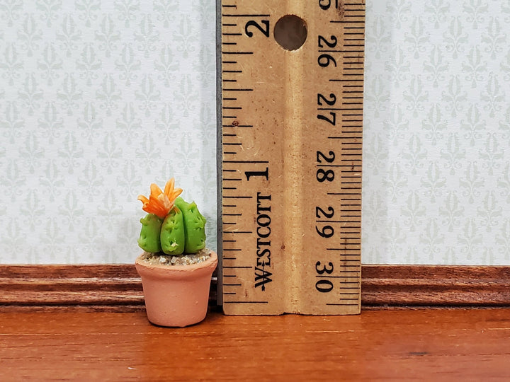Dollhouse Cactus Round Flowering Plant in a Terra Cotta Planter 1:12 Scale Miniature Decor - Miniature Crush