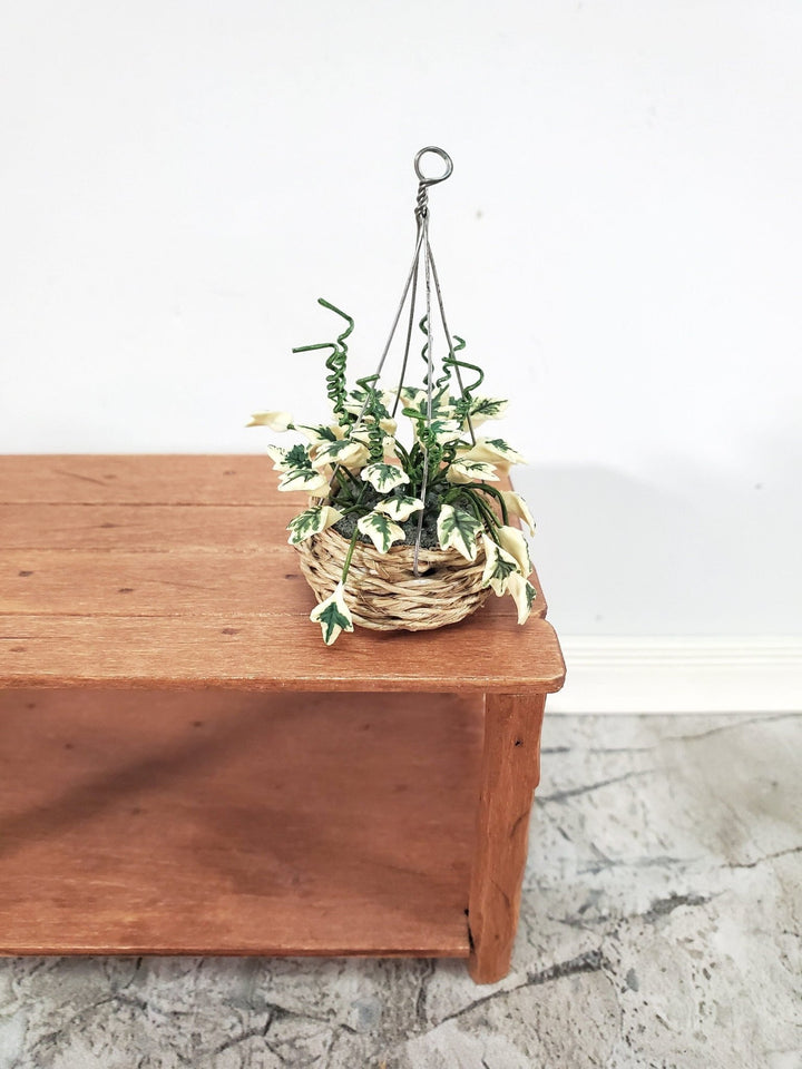 Dollhouse Hanging Plant Variegated English Ivy in Natural Fiber Basket 1:12 Scale Miniature - Miniature Crush
