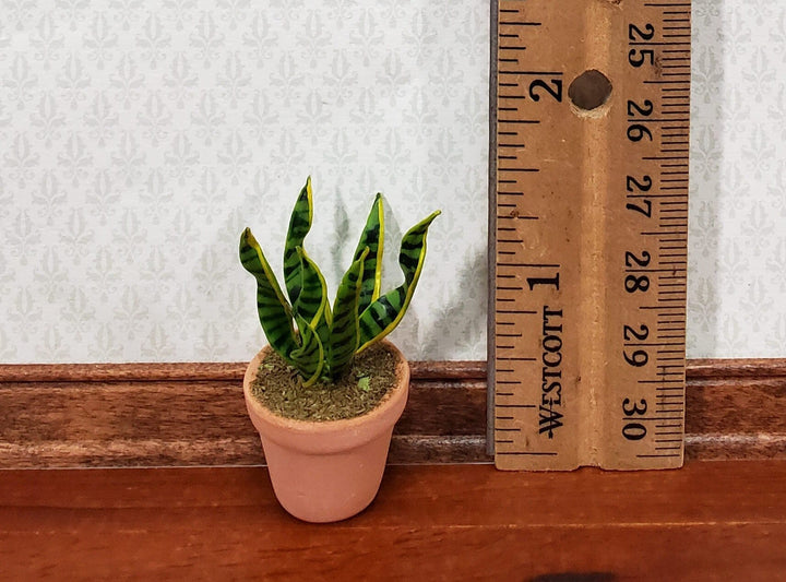 Dollhouse Houseplant Snake Plant Sansevieria in a Terra Cotta Pot 1:12 Scale Miniature - Miniature Crush