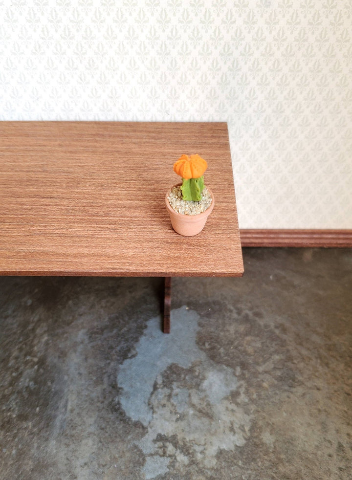 Dollhouse Miniature Moon Cactus Plant Orange Potted in Clay Pot 1:6 Scale Decor - Miniature Crush