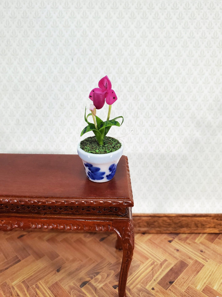 Dollhouse Miniature Orchid Lady Slipper Pink Flowering Plant in Ceramic Pot 1:12 Scale - Miniature Crush